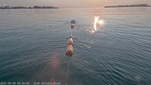 detroitSep092025_ 8hh03mm01ss