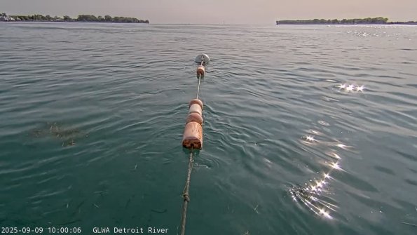 detroitSep092025_10hh03mm01ss