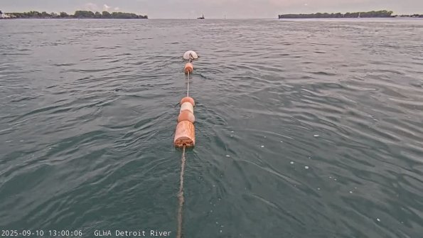 detroitSep102025_13hh03mm01ss