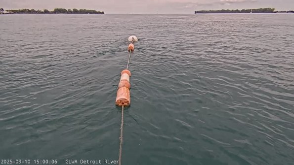 detroitSep102025_15hh03mm01ss