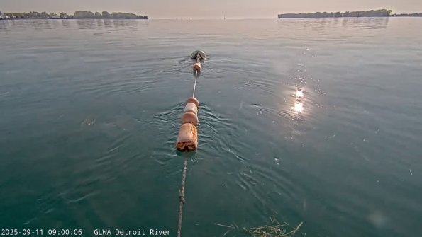 detroitSep112025_ 9hh03mm00ss