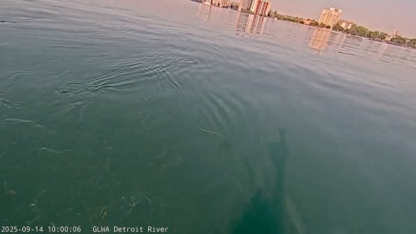 detroitSep142025_10hh03mm01ss