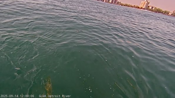 detroitSep142025_12hh03mm01ss