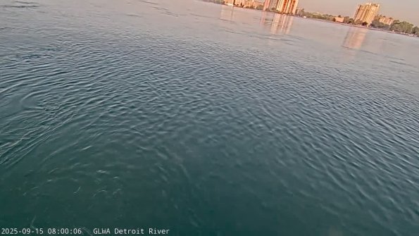 detroitSep152025_ 8hh03mm00ss