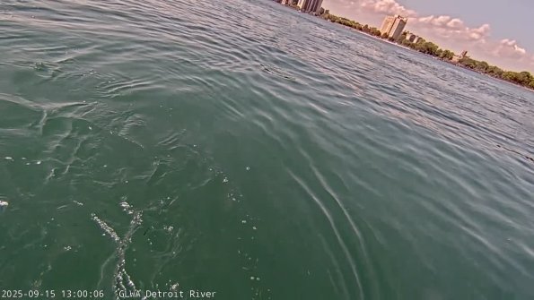 detroitSep152025_13hh03mm00ss