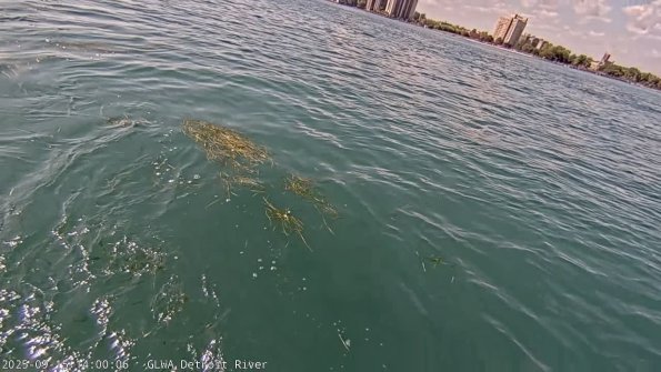 detroitSep152025_14hh03mm01ss