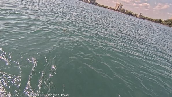 detroitSep152025_15hh03mm00ss