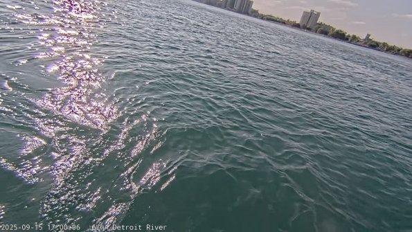 detroitSep152025_17hh03mm01ss