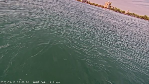 detroitSep162025_12hh03mm00ss