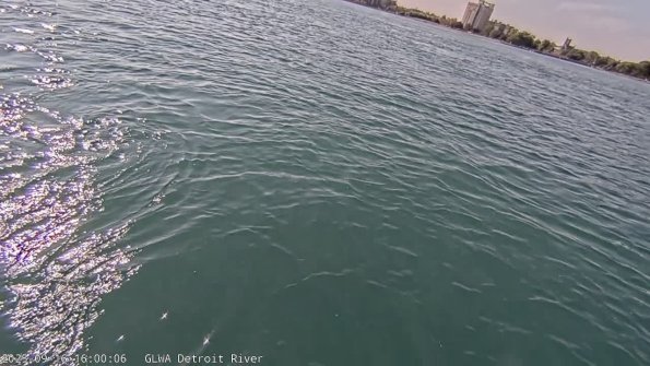 detroitSep162025_16hh03mm00ss