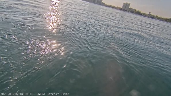 detroitSep162025_18hh03mm01ss