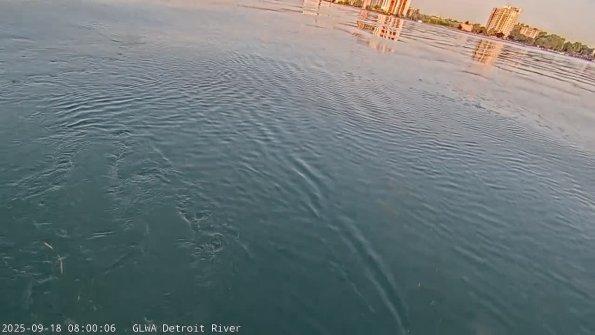 detroitSep182025_ 8hh03mm01ss