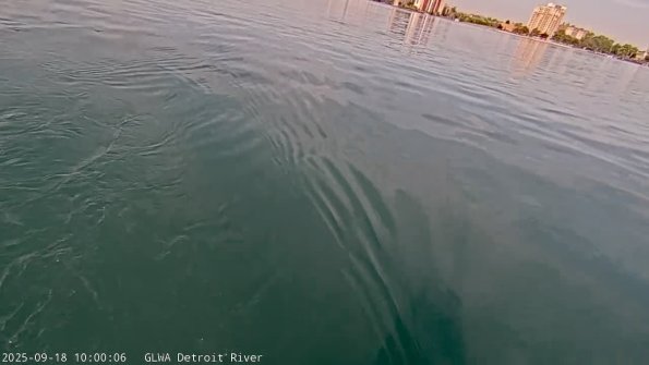 detroitSep182025_10hh03mm00ss