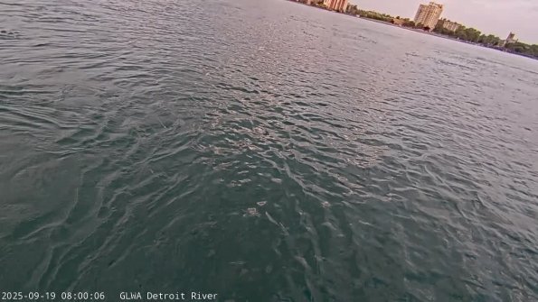 detroitSep192025_ 8hh03mm01ss