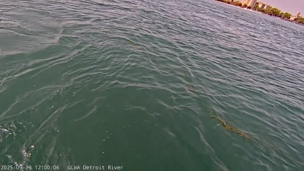 detroitSep192025_12hh03mm00ss