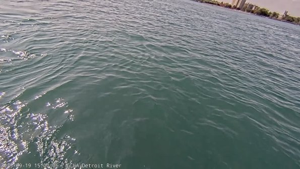 detroitSep192025_15hh03mm01ss